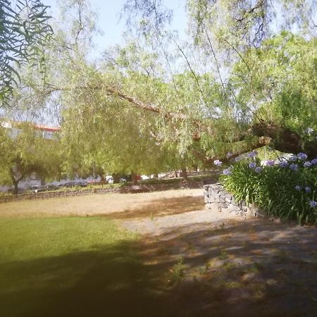 Apartament Casa Do Jardim Beja Zewnętrze zdjęcie